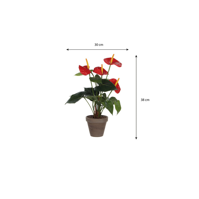 Mica Decorations Anthurium Kunstplant - H40 x Ø30 cm - Rood