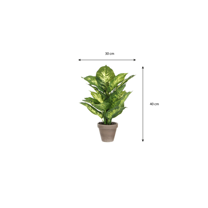 Mica Decorations Dieffenbachia Kunstplant - H40 x Ø30 cm - Groen