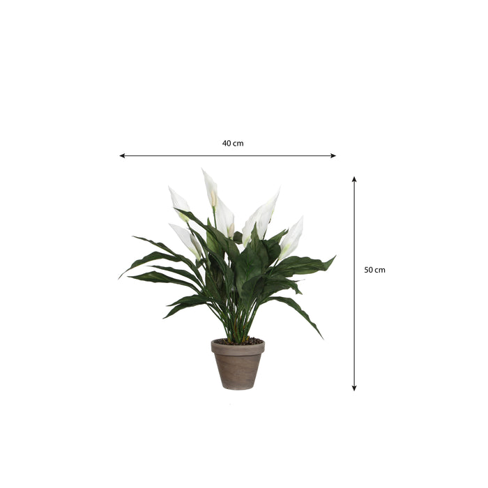 Mica Decorations Spathiphyllum Kunstplant - H50 x Ø40 cm - Wit