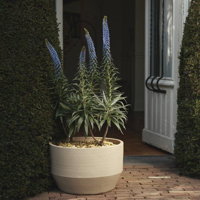 329802-x01-202505081023-A.jpg (10274607) 