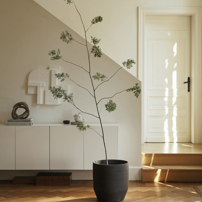 329806-x01-202505081022-A.jpg (10274620) 