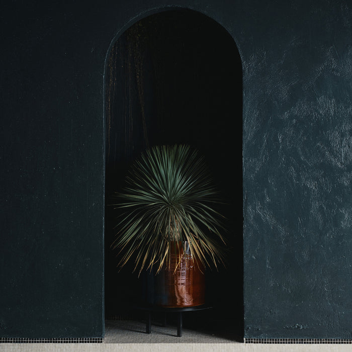 329809-x01-202505081023-A.jpg (10274628) 