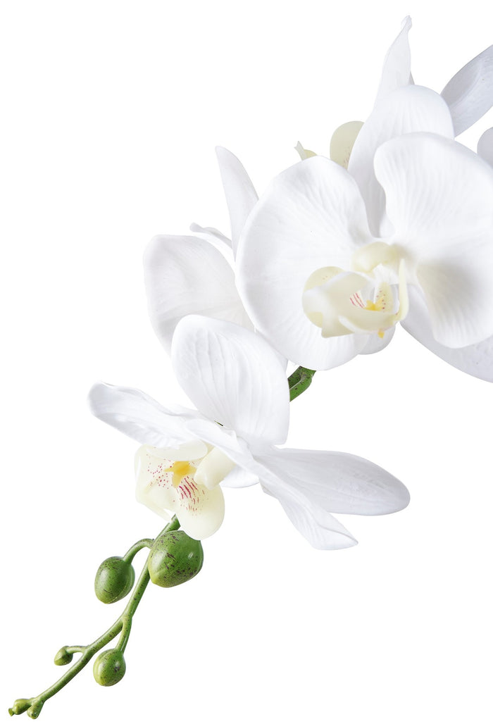 c22b9435-4de3-4f65-92e8-3721c97870cc-afbeelding4.jpg (10286351) 