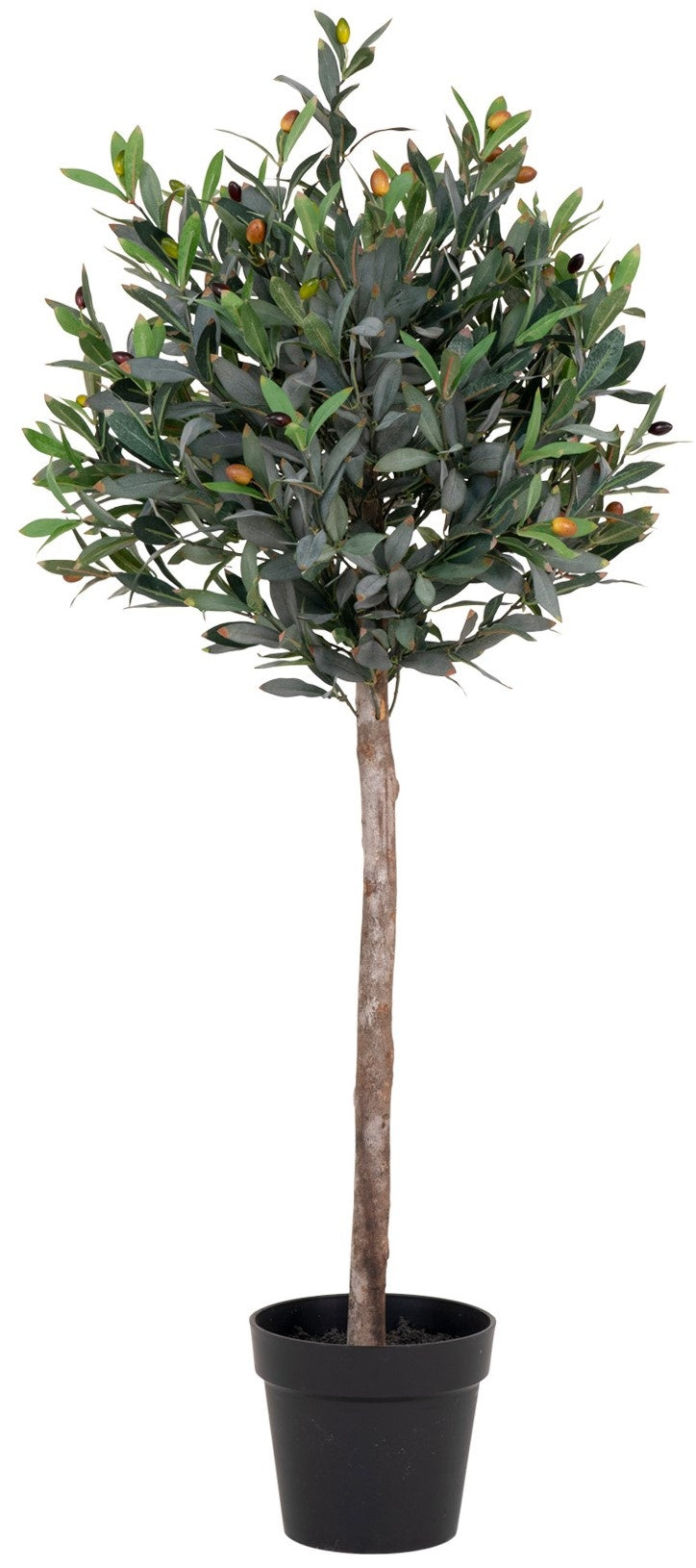 3edf6dc2-0e4c-456f-a31a-b9a92e226cba-vrijstaandbeeld.jpg (10287217) 