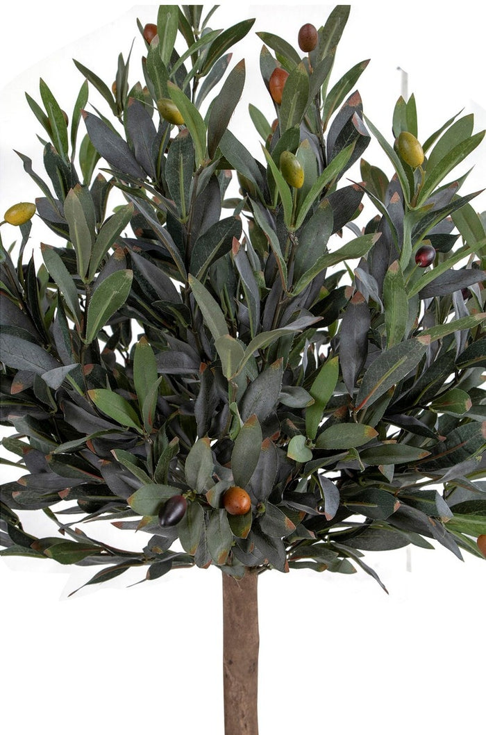 3edf6dc2-0e4c-456f-a31a-b9a92e226cba-afbeelding4.jpg (10287220) 