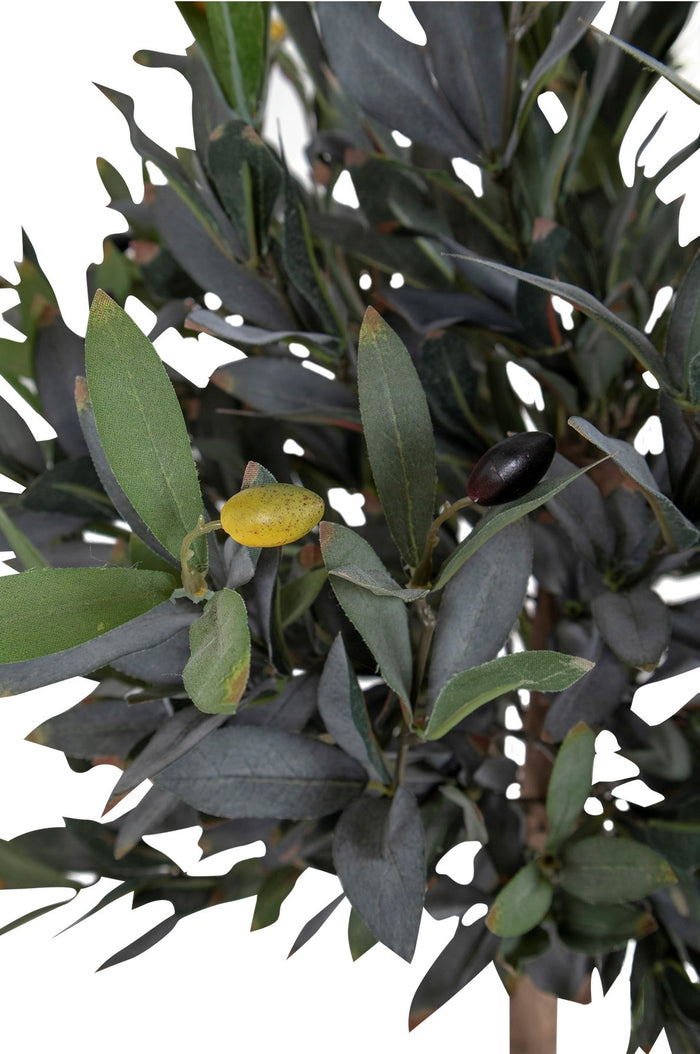 3edf6dc2-0e4c-456f-a31a-b9a92e226cba-afbeelding5.jpg (10287221) 