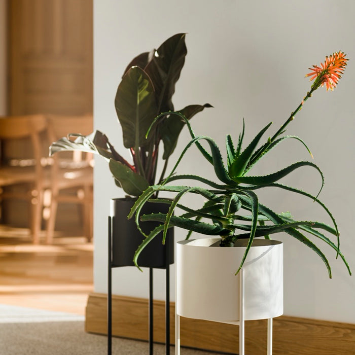 noo.ma MAKI Bloempot - lang - Vulcano Black