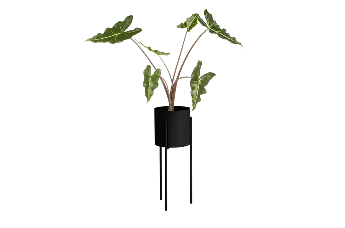 noo.ma MAKI Bloempot - lang - Vulcano Black