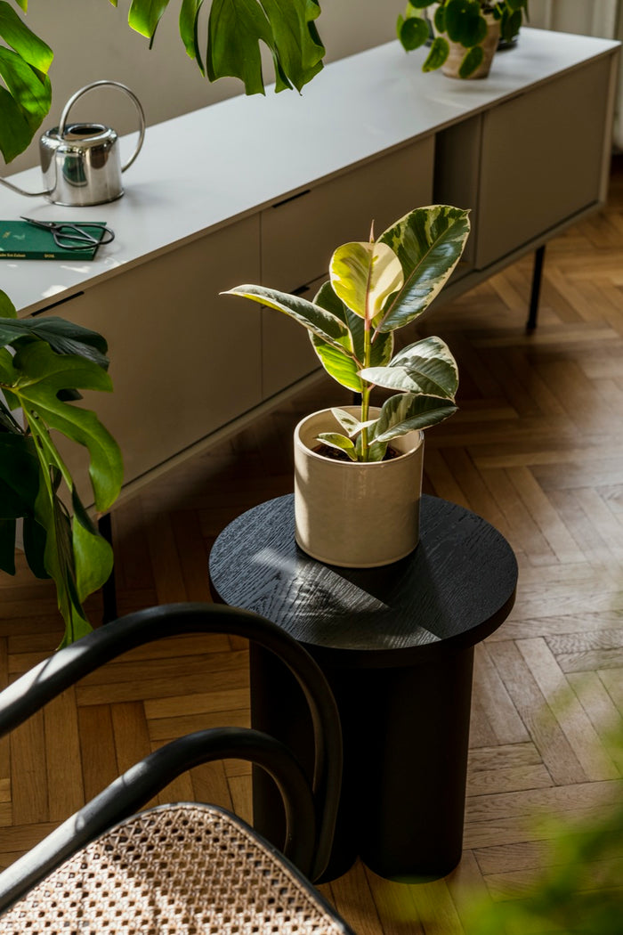 24009d04-e36e-499f-80fd-2634ef92906a-afbeelding3.jpg (10287540) 