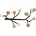 Kare Design Bubble Tree Wand Kapstok - 40cm - bruin