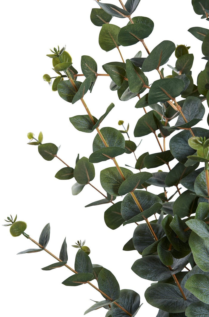 3fbc0226-97f9-4a8f-a7a2-4cdbf299981b-afbeelding8.jpg (10288073) 