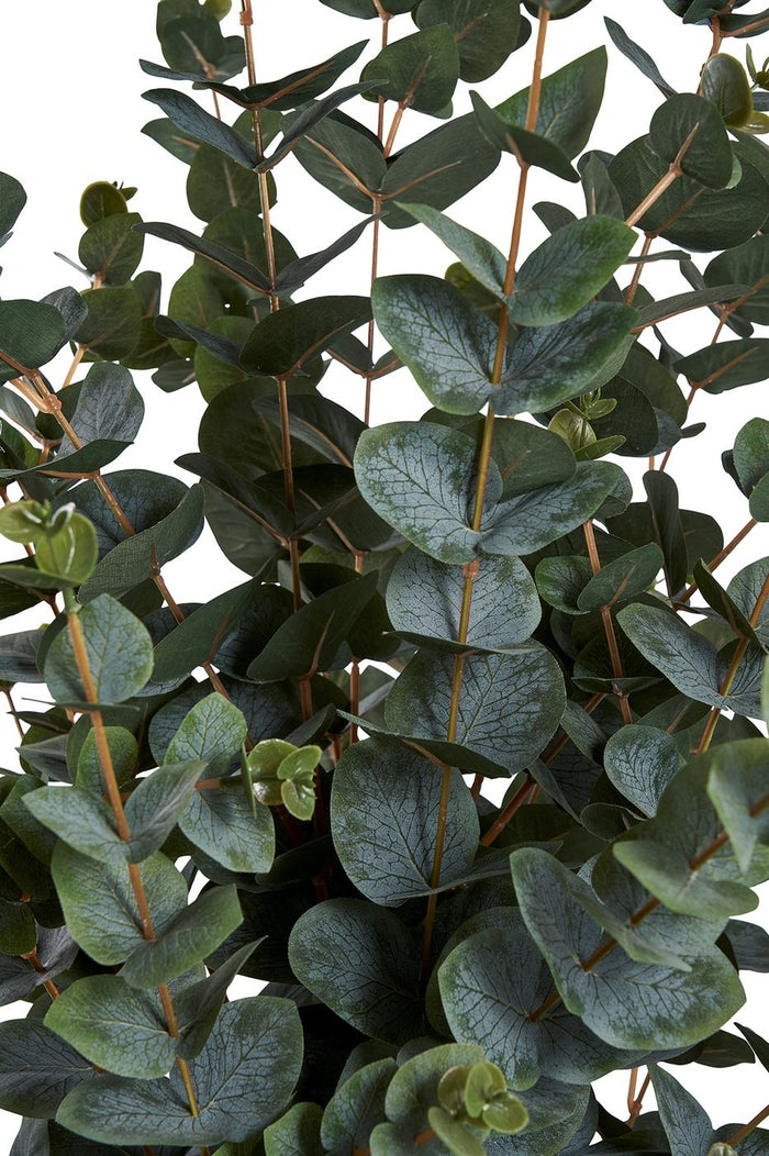 3fbc0226-97f9-4a8f-a7a2-4cdbf299981b-afbeelding9.jpg (10288079) 