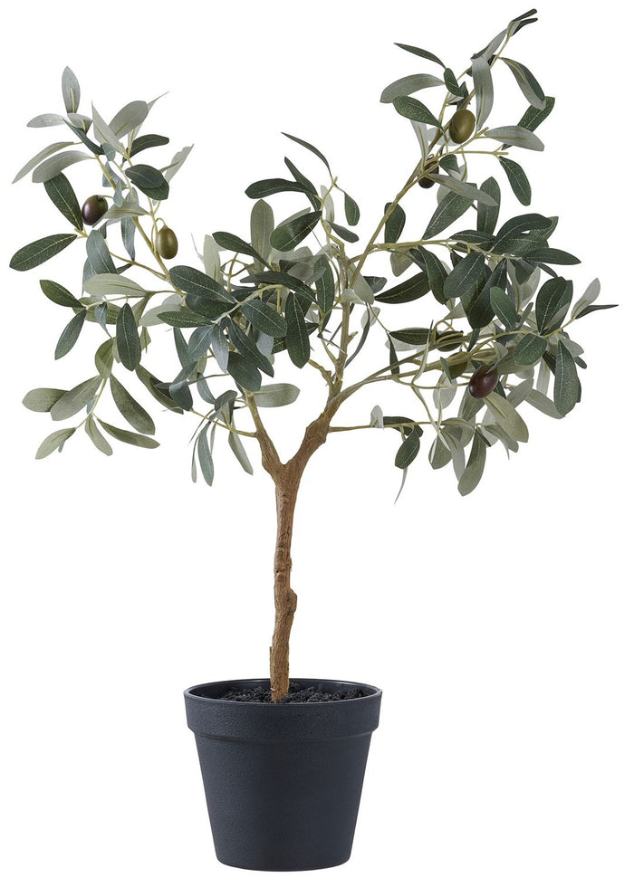 e34faa1e-102a-4b31-979b-9e510ef9a1c4-vrijstaandbeeld.jpg (10288092) 