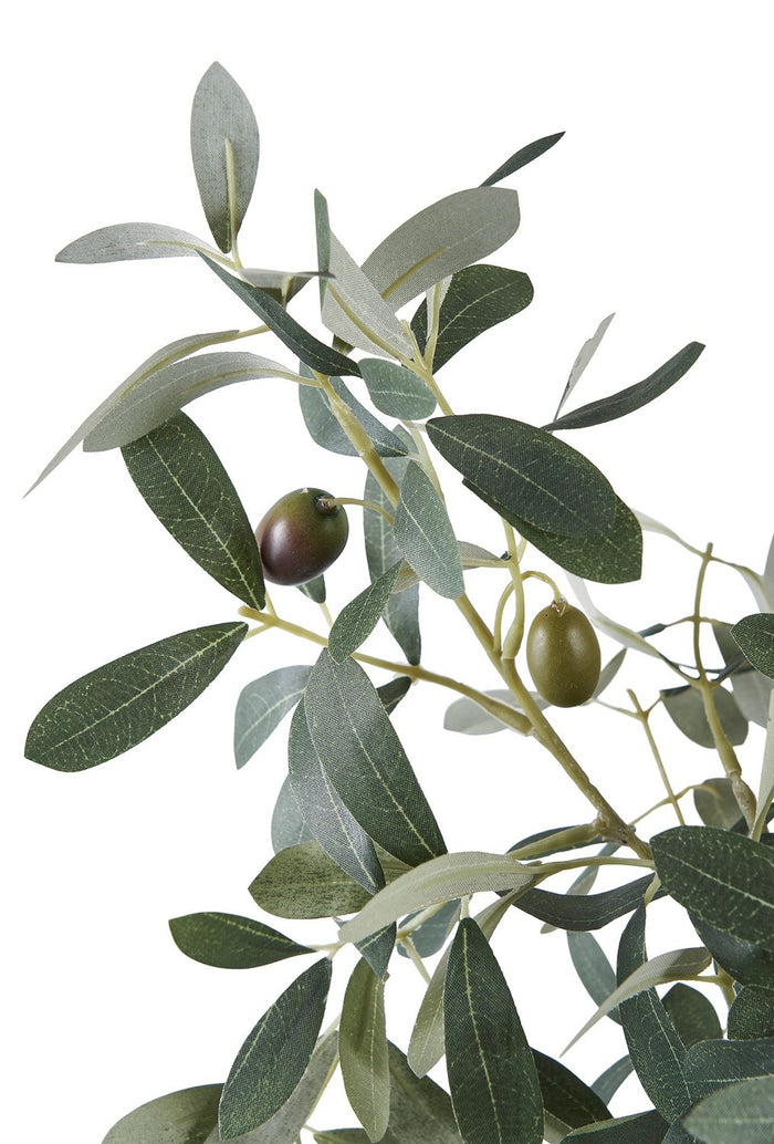 e34faa1e-102a-4b31-979b-9e510ef9a1c4-afbeelding5.jpg (10288110) 