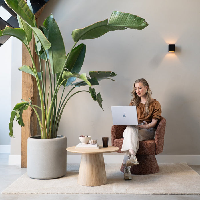 8f0606ab-8792-4e2f-8f8d-a9f276319d5a-afbeelding4.jpg (10296529) 