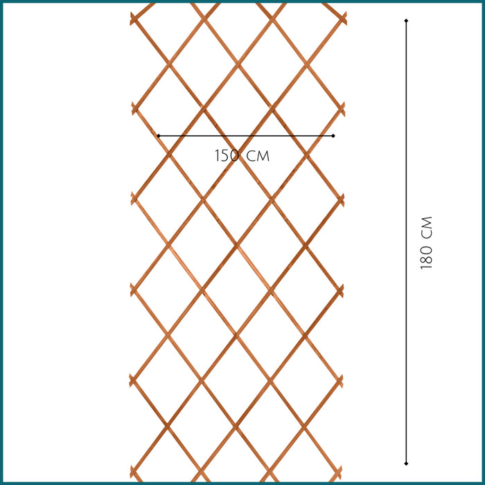 31a29f02-7a63-42b3-baa4-81febb744a19-afbeelding3.jpg (10311471) 