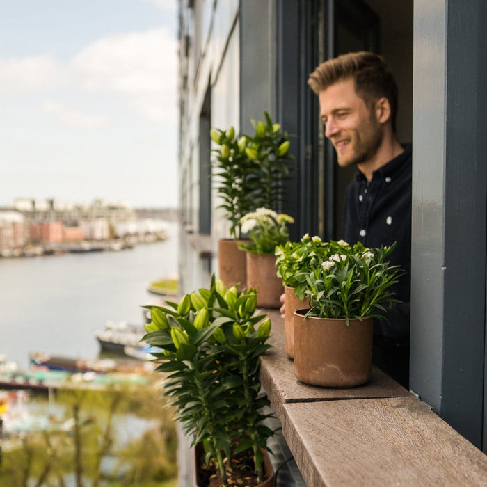 Artstone Balkonbak Claire - 55x16x17 - Grijs