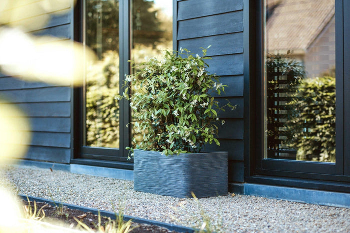 Capi Europe - Bak rechthoek Rib NL - 73x39x32 - Warm taupe