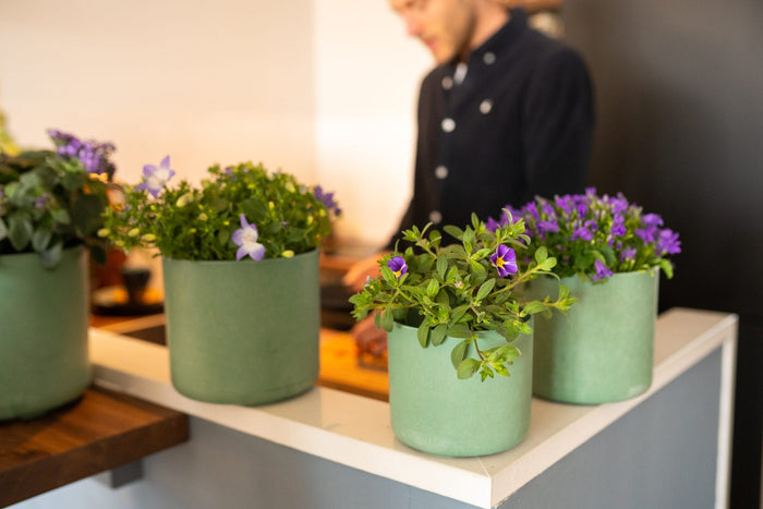 Artstone Pot Celine - Set van 4 - Grijs