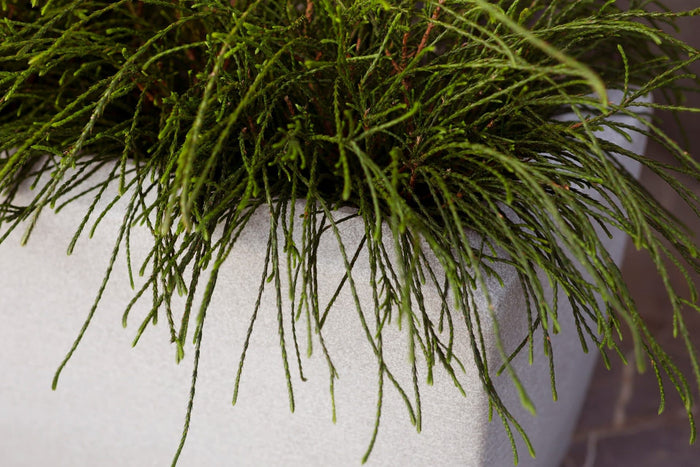 Capi Europe Bloembak rechthoek Arc Granite - 60x35x40 - Warm taupe