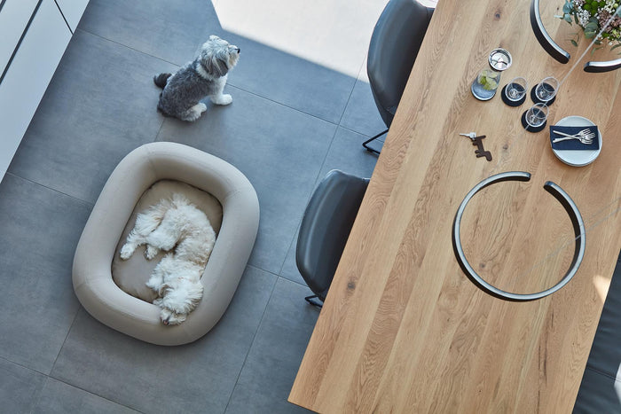 701c6b92-b135-43c4-93bc-3a1da76aa55e-afbeelding10.jpg (10322166) 