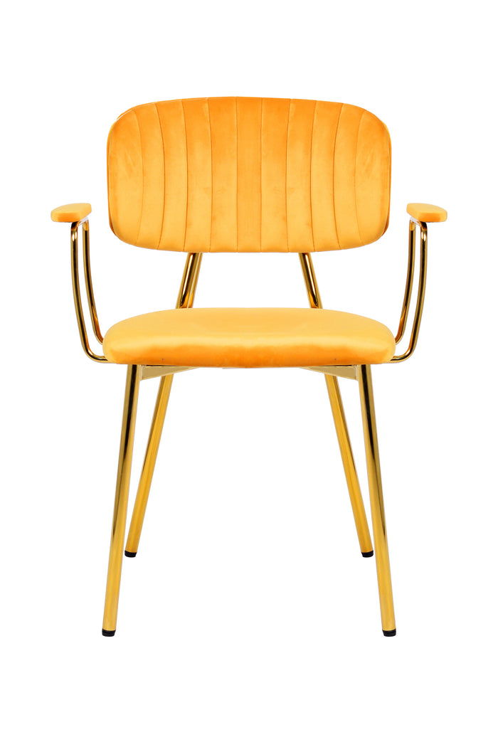 Stoel, set van 2 licht oranje gemaakt van ijzer met armleuningen, glamoureus ontwerp, gouden roestvrij stalen frame, fluwelen hoes, decoratieve stiksels