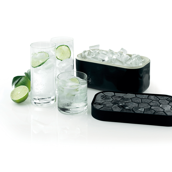 IJsblokjesvorm met bewaardoos - Black