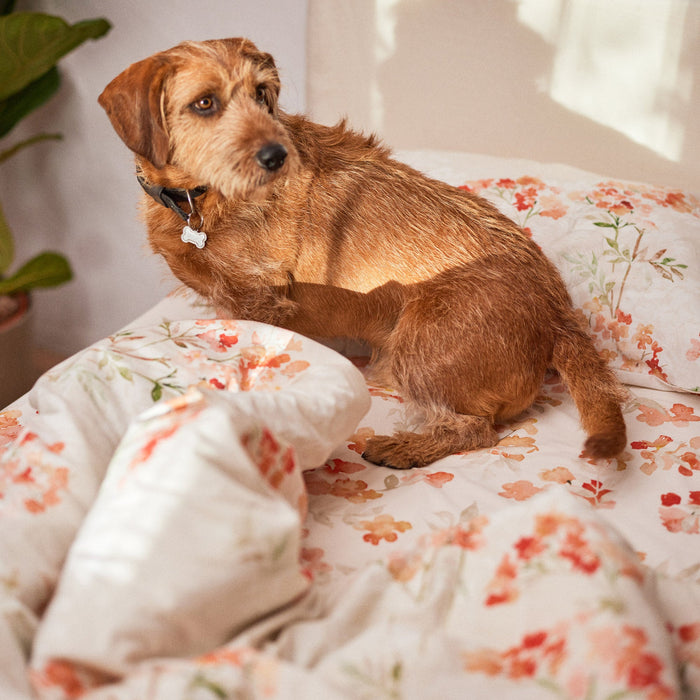 Happy Friday Dekbedovertrek Riomaggiore