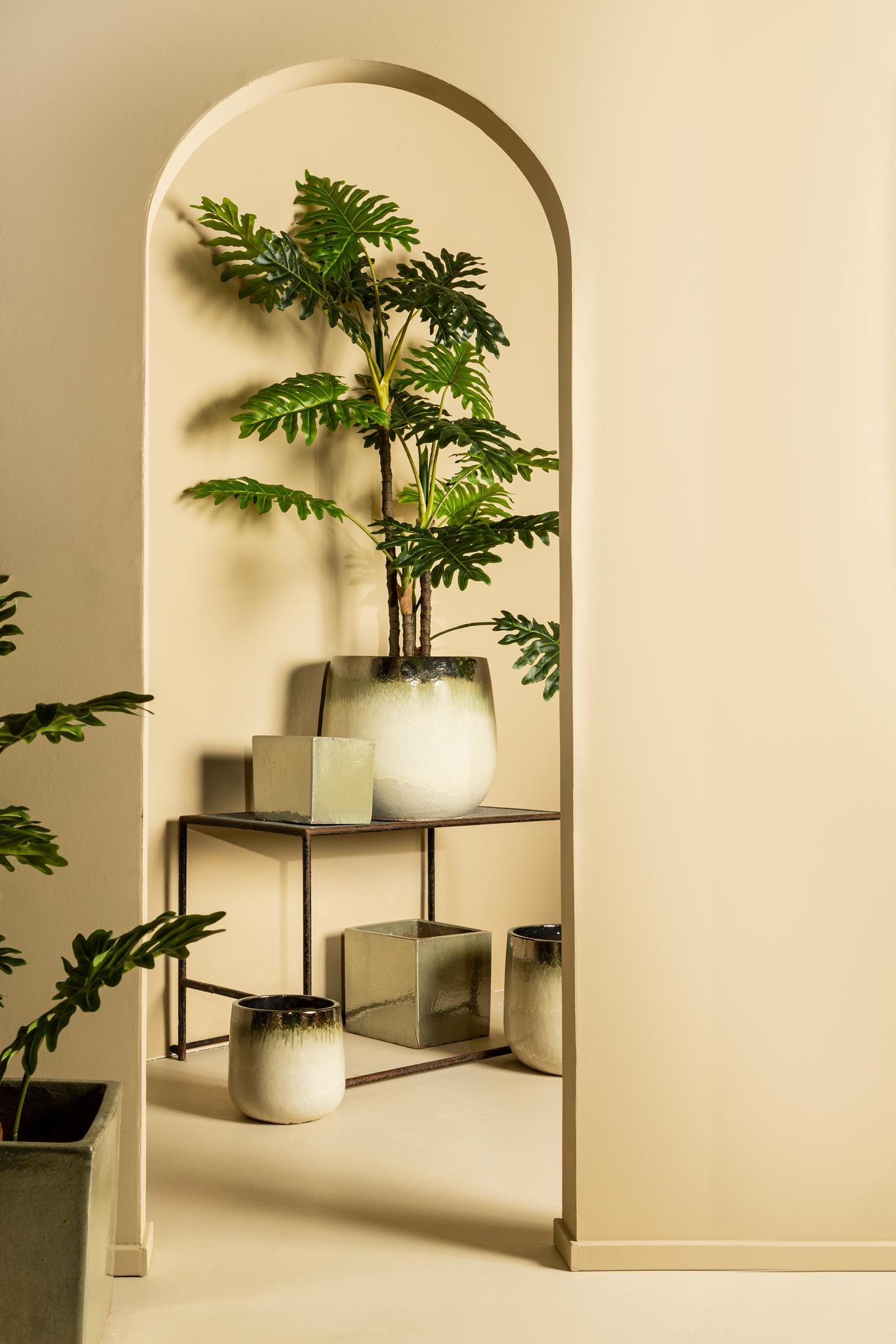 52a0668b-1150-41a8-8fb9-8872925ff116-afbeelding3.jpg (10346757) 