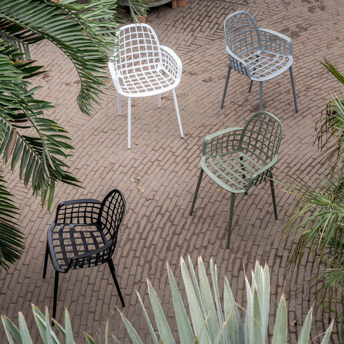 229295-x01-202506120229-A.jpg (10354142) 