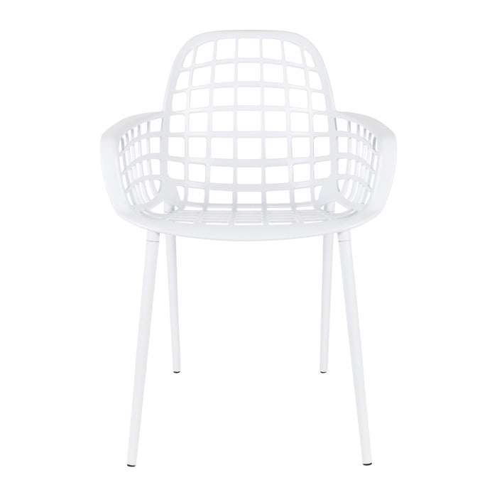 229295-x02-202506120229-C.jpg (10354143) 