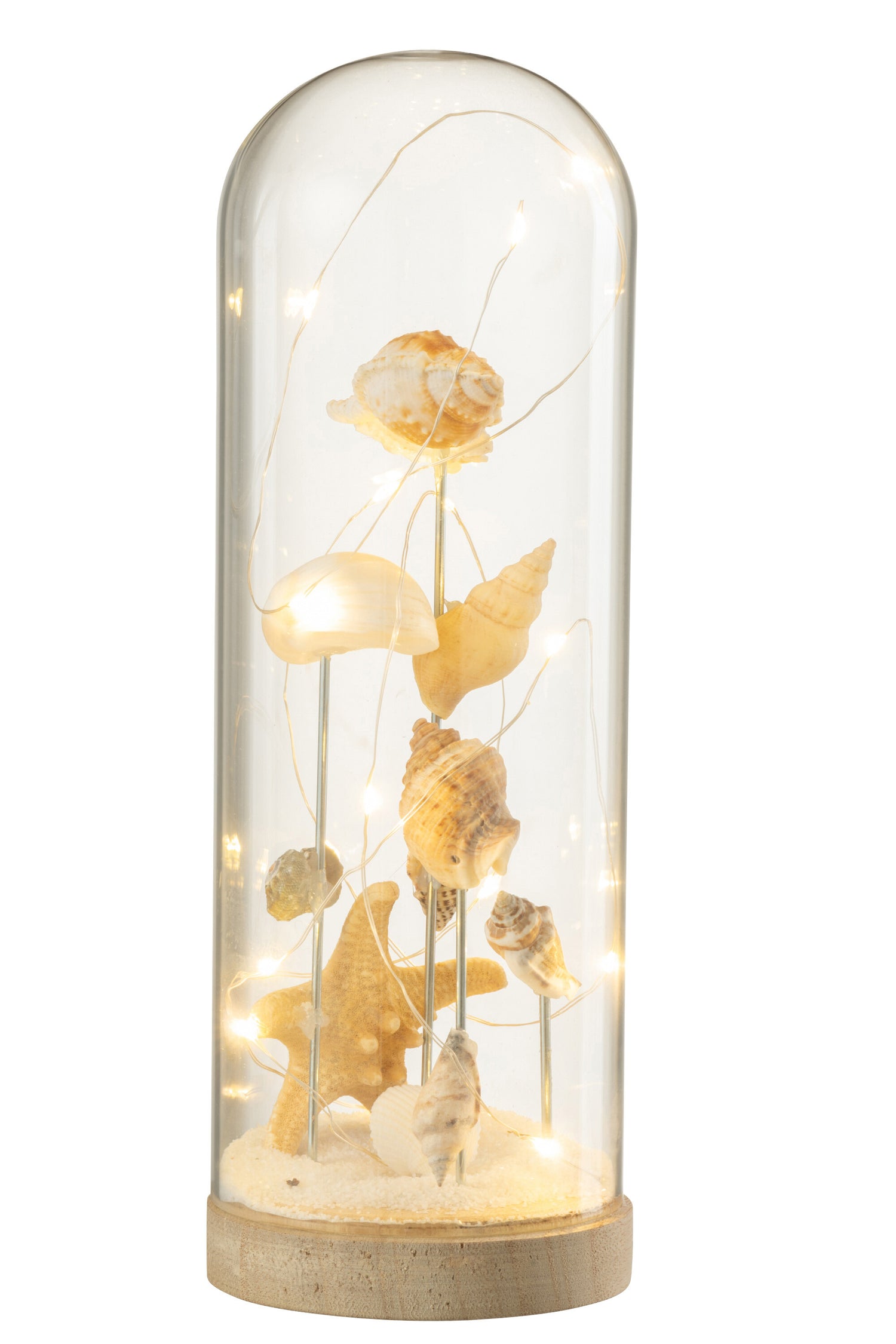 94a71521-6968-4027-9cb3-dd778a1704c9-vrijstaandbeeld.jpg (10359459) 