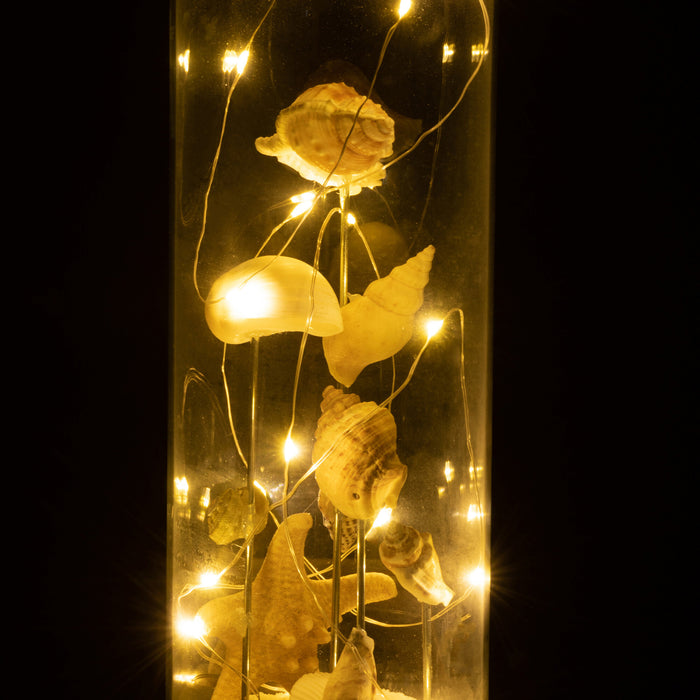 94a71521-6968-4027-9cb3-dd778a1704c9-afbeelding3.jpg (10359469) 