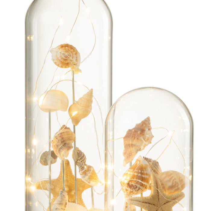 94a71521-6968-4027-9cb3-dd778a1704c9-afbeelding4.jpg (10359477) 