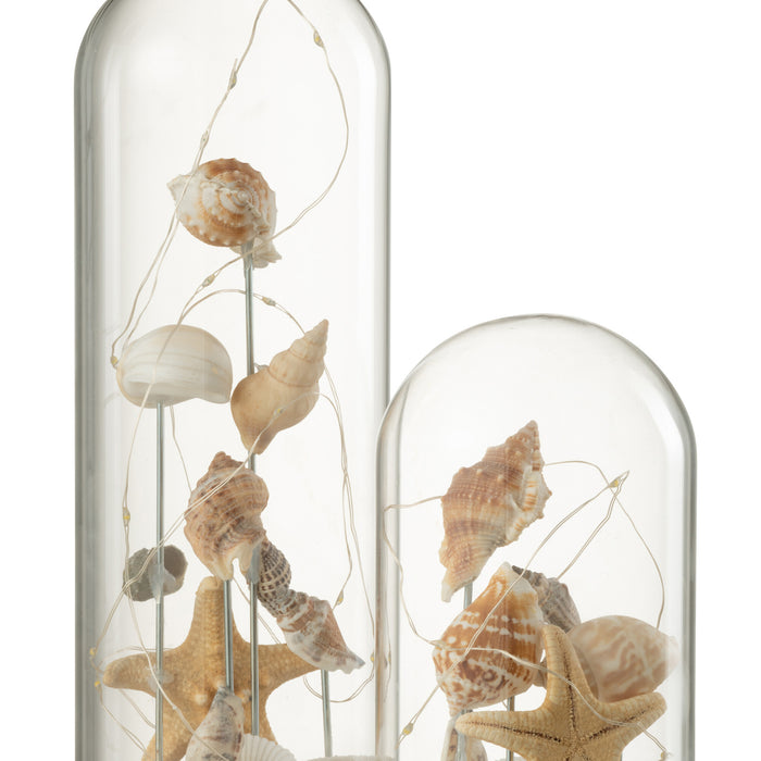 94a71521-6968-4027-9cb3-dd778a1704c9-afbeelding5.jpg (10359483) 