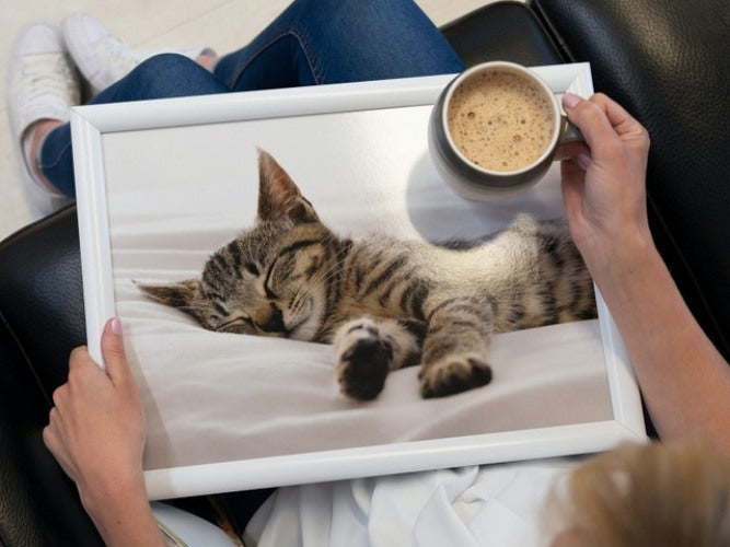 Laptray, Schootdienblad, Kitten, 44 x 34 cm - Creative Tops