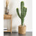 Beliani - MAROCCO CEREUS - Kunstplant - Groen - 115 cm - Kunststof