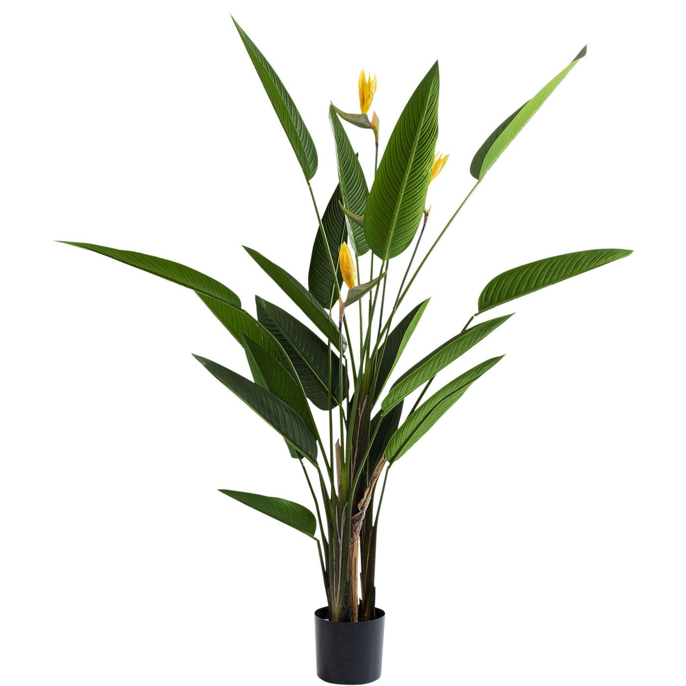Kunstplanten Strelitzia Reginae 190cm Kare Design