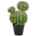 Beliani - BALL CACTUS - Kunstplant - Groen - 33 cm - Kunststof
