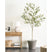 Beliani - OLIVE TREE - Kunstplant - Groen - 178 cm - Synthetisch