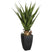 Atmosphera Agave Rect Kunstplant - in pot van cement - 73 cm