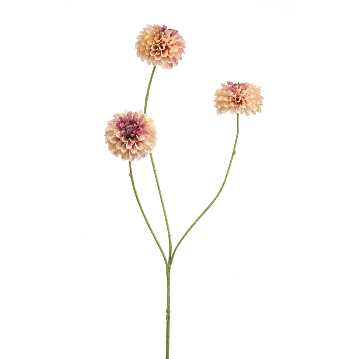 Fleurdirect Kunsttak Dahlia Pompom - Roze - Kunststof