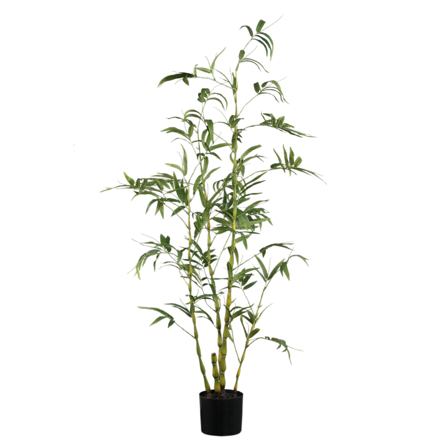 PTMD Tree Green Bamboo Tree In Pot