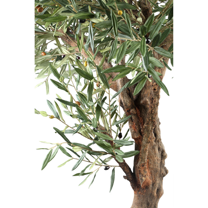 PTMD Tree Green Olive Tree In Pot 210cm