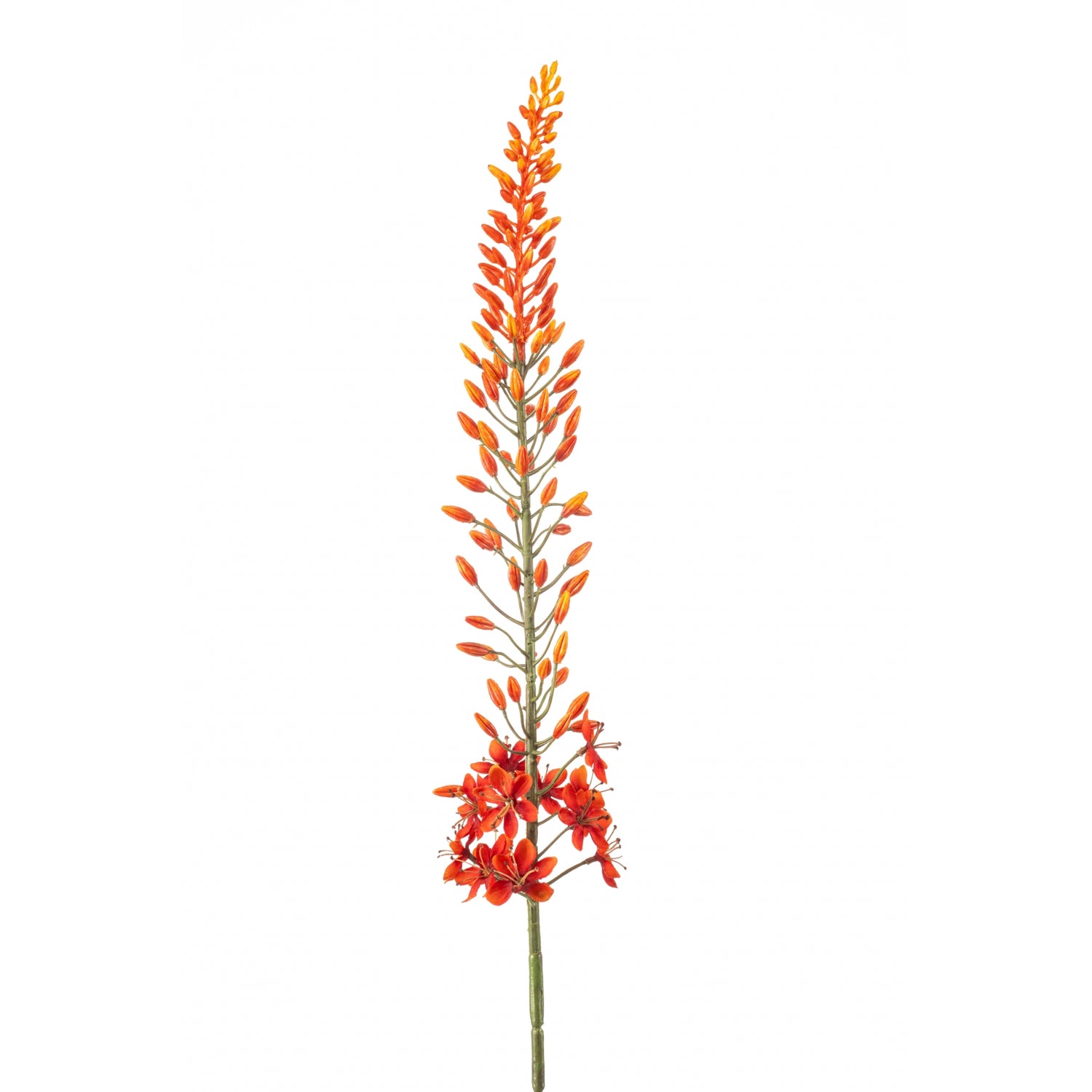 Fleurdirect Kunsttak Eremurus - Oranje - Kunststof - 0x108x0cm (BxHxD)