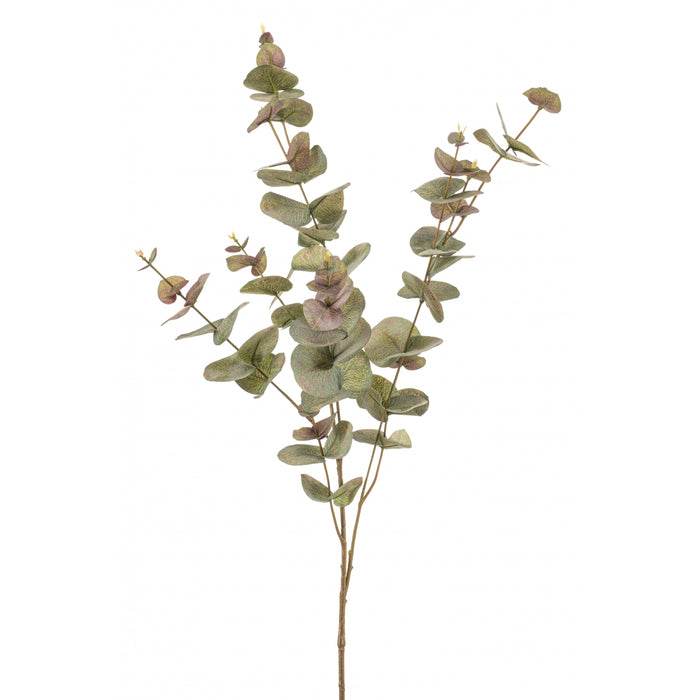 Fleurdirect Kunsttak Eucalyptus - Groen - Kunststof - 0x97x0cm (BxHxD)