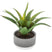 Atmosphera - vetplant kunstplant - in pot van cement - 22 cm