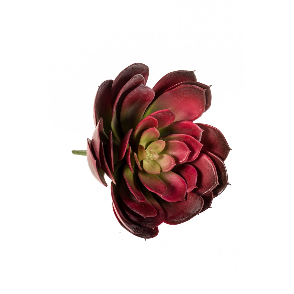 Fleurdirect Kunstplant Echeveria -  - Polyester - 0x20x0cm (BxHxD)