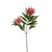 Fleurdirect Kunstbloem Grevillea -  - Polyester - 0x73x0cm (BxHxD)