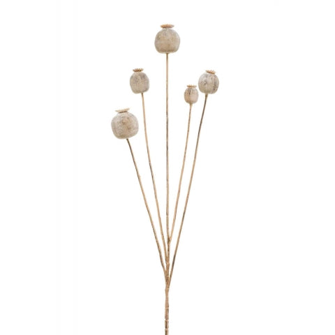 Fleurdirect Kunstbloem Papaver -  - Polyester - 0x75x0cm (BxHxD)